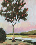 Art Card Pack - Top End Morning Light